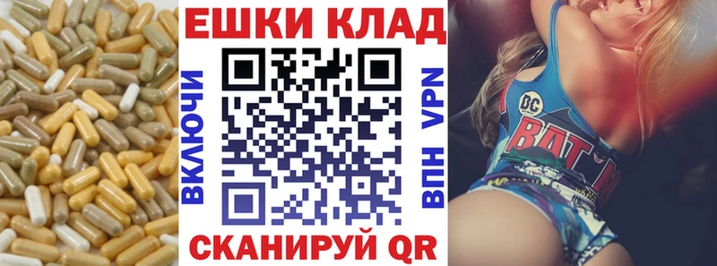 Купить  Лукоянов  Экстази Punisher 