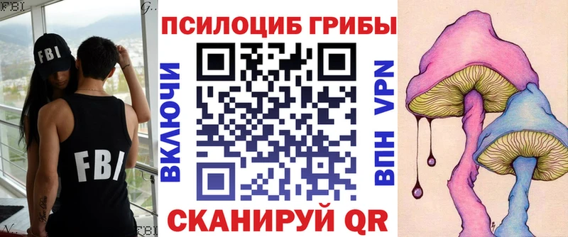 Псилоцибиновые грибы мицелий  Купить где  Лукоянов 